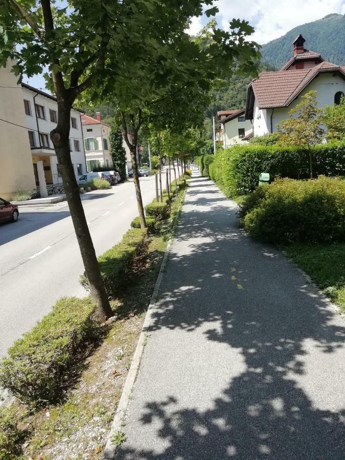 Naturalina Tolmin Exteriör bild
